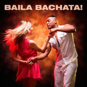 Download track Te Quiero Amar Bachata Latin Band, Grupo De Bachata, El Sentir De La BachataFeverson