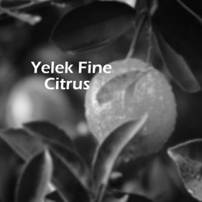 Download track Tairy Yelek Fine