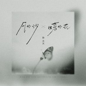 Download track 风与沙蝶与花 (伴奏) 孙火火