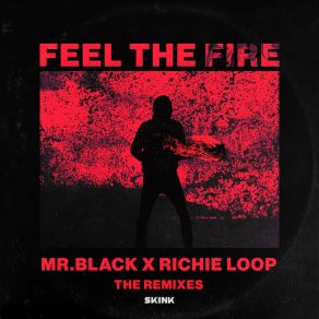 Download track Feel The Fire (Futuristic Polar Bears & Jerry Davila Remix) Richie LoopFuturistic Polar Bears, Jerry Dávila