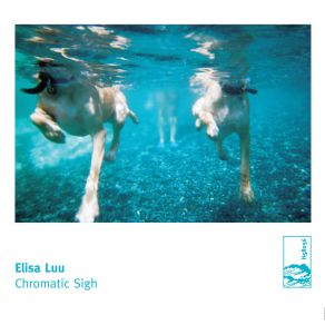 Download track Pixie Space Rock Elisa Luu