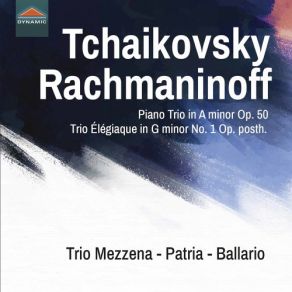 Download track Piano Trio In A Minor, Op. 50, TH 117- IIk. Var. 10 Franco Mezzena, Elena Ballario, Sergio Patria