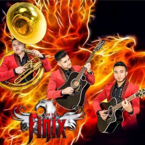 Download track Los Lujos De La Vida (En Vivo) Los De Finix