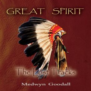 Download track Sky Warrior Medwyn Goodall