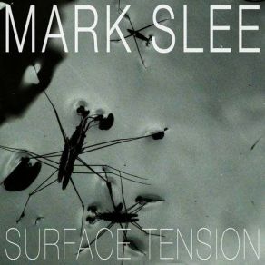 Download track Canvas (Original Mix) Mark Slee