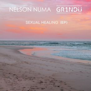 Download track Sexual Healing (Radio Edit) GR1NDU