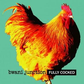 Download track Feel No More Bwani Junction