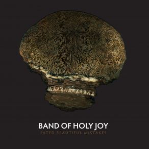 Download track New York Romantic The Band Of Holy Joy