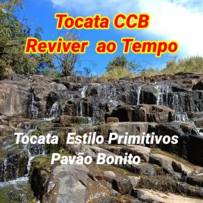 Download track Hino 442- Bênçãos, Bênçãos Deus Derramará Tocata Estilo Primitivos Pavão Bonito