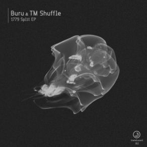 Download track Roadblock (Original Mix) Buru, TM Shuffle