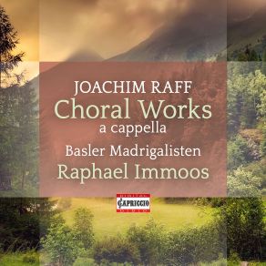 Download track Gesänge Für Gemischten Chor, Op. 198: No. 5,  Haidelieder Ii' Basler Madrigalisten, Raphael Immoos