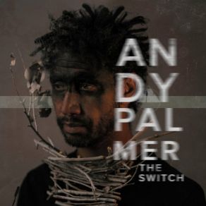 Download track The Natural Andy Palmer