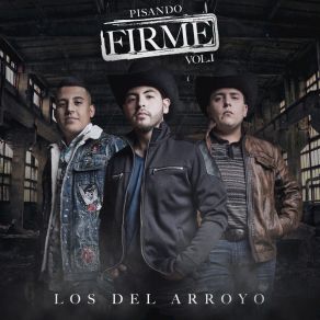 Download track Quise Pelear (En Vivo) Los Del Arroyo