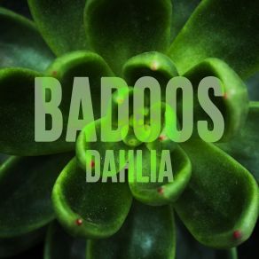 Download track Dahlia Badoos