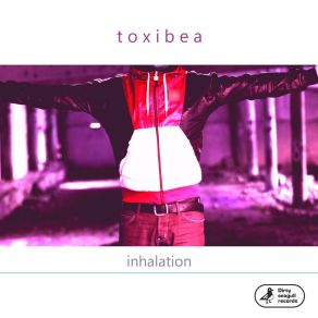 Download track Magnitofon 98 Toxibea