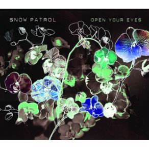 Download track You'Re All I Have (Live) Snow Patrol