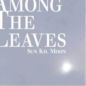 Download track That Bird Has A Broken Wing (Live) Sun Kil Moon