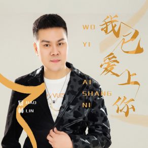 Download track 我已爱上你 Lin Bao