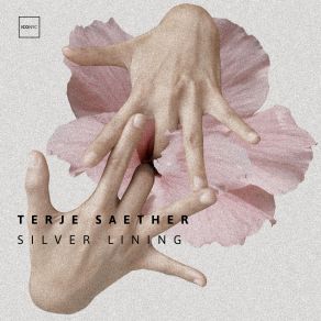 Download track Silver Lining (Original Mix) Terje Saether