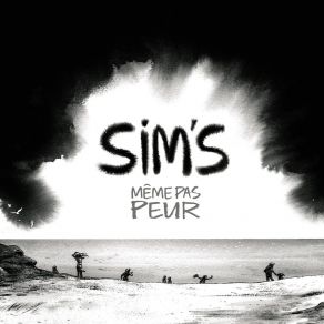 Download track Fais Le Tri Sim's