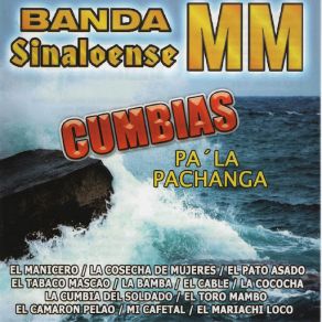 Download track El Pato Asado Banda Sinaloense MM