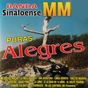 Download track La Edad De Catorce Anos Banda Sinaloense MM