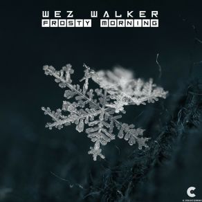 Download track Frosty Morning Wez Walker