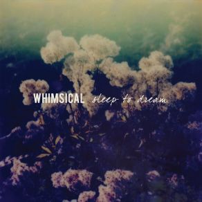 Download track Flutter Echo Whimsical