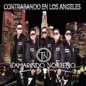 Download track Cumpliendo Mi Sueño Tamarindo Norteño