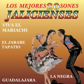 Download track El Mariachi De Mi Tierra Mariachi De Zapopan De Armando López