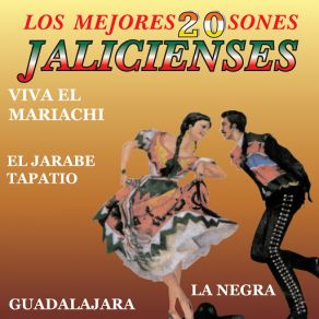 Download track El Sinaloense Mariachi De Zapopan De Armando López