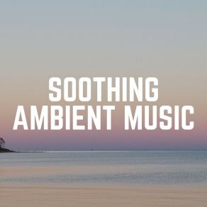 Download track Sweet Birth Moment Soothing Chill Out For Insomnia