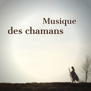 Download track Méditation Parfaite Musique Amérindienne