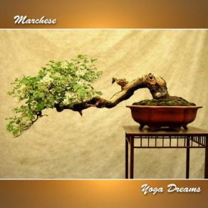 Download track Asanas Marchese