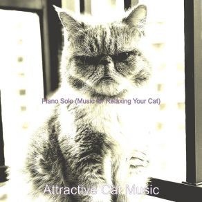 Download track Modish Cats Attractive Cat Music