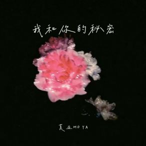 Download track 我和你的秘密 (伴奏) 莫亚MO YA