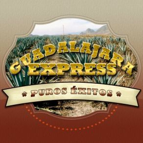 Download track El Anillo Grabado Guadalajara Express