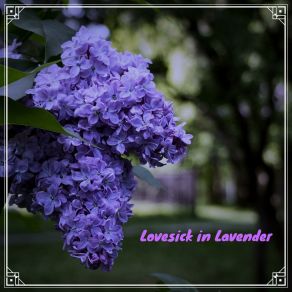 Download track Lovesick In Lavender Myo SerketScott SK Miller