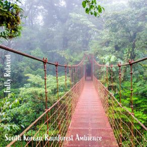 Download track South Korean Rainforest Ambience, Pt. 2 Steve Brassel