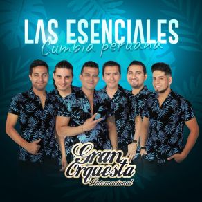 Download track Me Gusta Todo De Ti Gran Orquesta Internacional