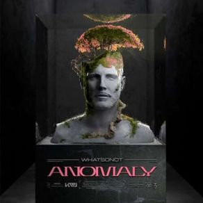 Download track Anomaly What So NotAY AY