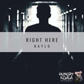 Download track Right Here (Original Mix) Naylo