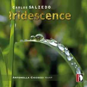 Download track Salzedo: Suite Of 8 Dances: III. Polka Antonella Ciccozzi