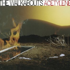 Download track The Last Ones The Walkabouts