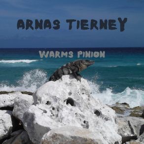 Download track Conscientious Bullet Arnas Tierney