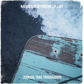 Download track Ocean's Embrace Beneath The Starlit Sky Tranquil Trail Troubadours