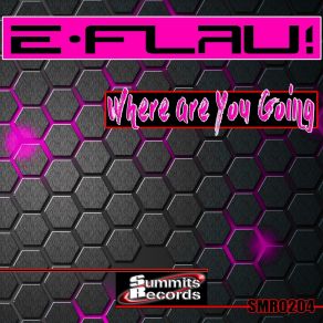 Download track Where Are You Going DJ E-Flau!