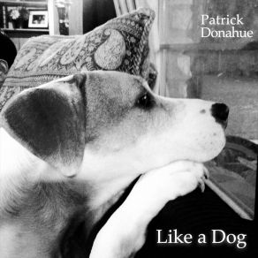 Download track Ain't Nobody Gonna Care For Me? Patrick Donahue