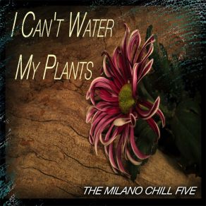 Download track Fan The Flame (Original Mix) The Milano Chill Five