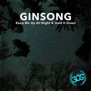 Download track Hold It Down (Original Mix) Ginsong